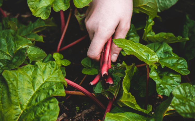  We are all farmers.